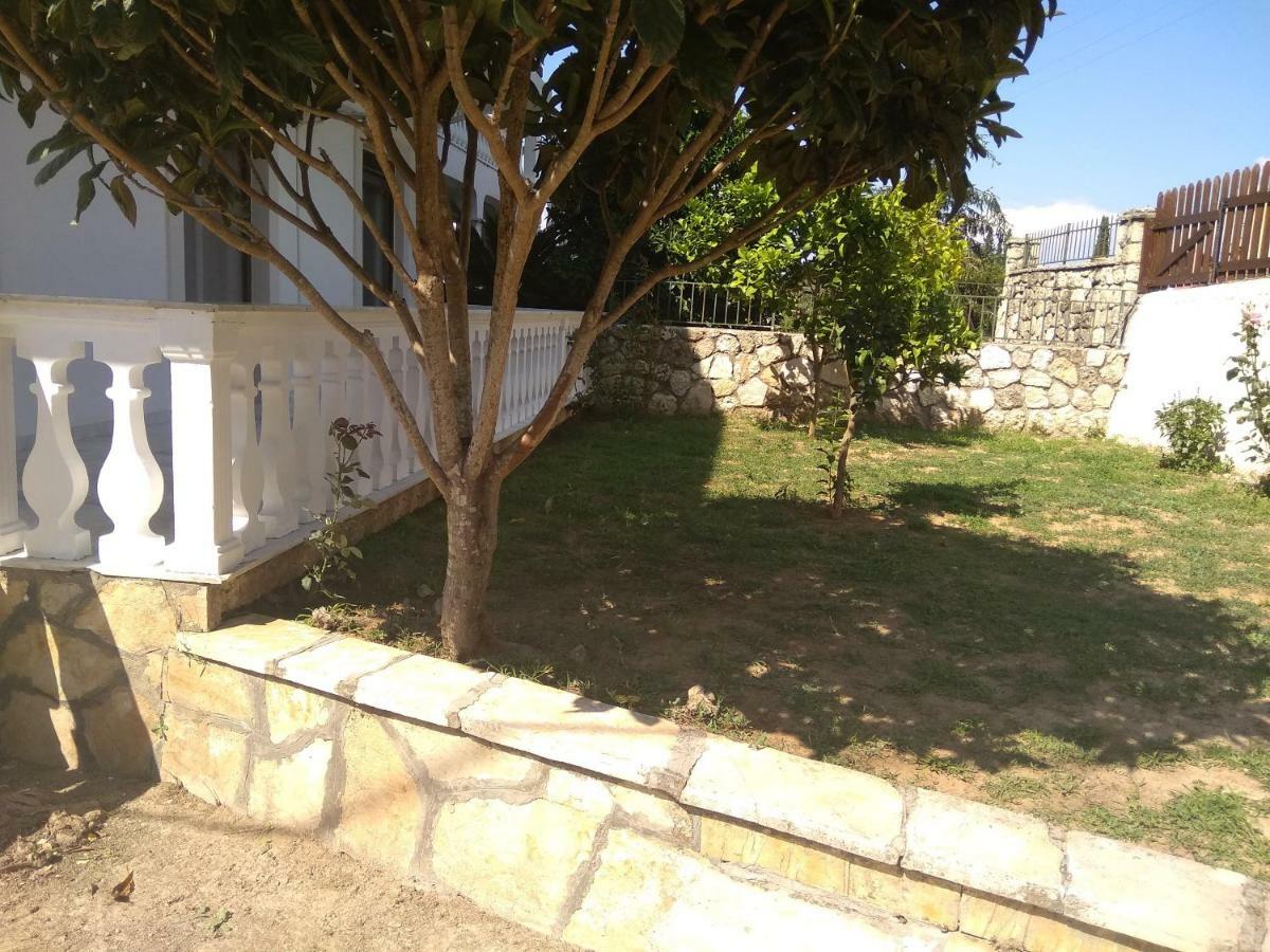 הוילה Vátos Despina House Ermones מראה חיצוני תמונה